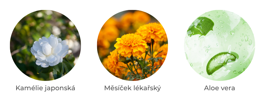 Aktivní složky – dětský krém Bébé